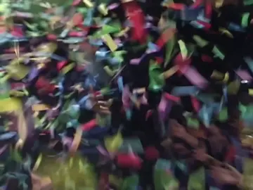 i love his energy👊🤟💪🦶 #rexorangecounty 