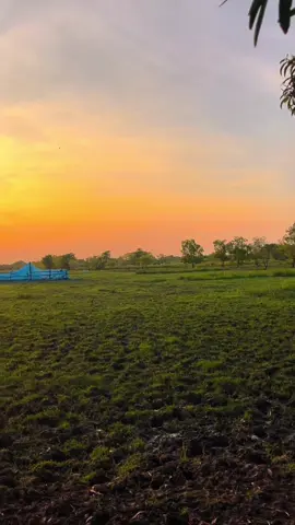 หน้าหนาวมาฮอตแล้วเด้อ🌾#ธรรมชาติบ้านนอก🌄🍃 #วิวบ้านนอก🍃 #ยืมลงสตอรี่ได้นะ #อีสานบ้านเฮา #หนองบัวลำภู 
