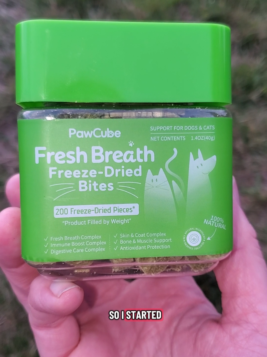 @PawCube delivers tasty treats that also freshen your pets breath! it's a win-win for you and your pet