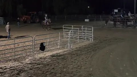 Great way to bring bindi out again winning Open 2D 1st and Youth 2D 1st with a 19.0. Truly can’t ask for a better run slowly getting back into things. Thankful for my sponsors@Josh Andrews @Ranch Dress’n @DrawItOut @Webb Western @Sina @Tiffany Tooker @Dream Big Hidez @L&W Bits @Bo @Elite Equine Therapy 