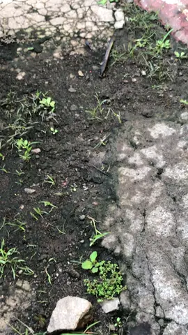 Sabtu berkah #fypage #dyppppppppppppppppppppp #tiktokviral 