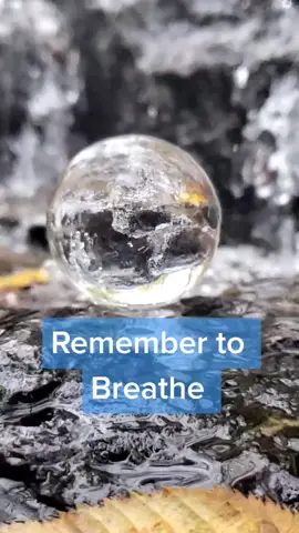 #mediation #nature #breathe 