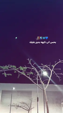 New acc🥰#foryou #اليسا #Elissa 