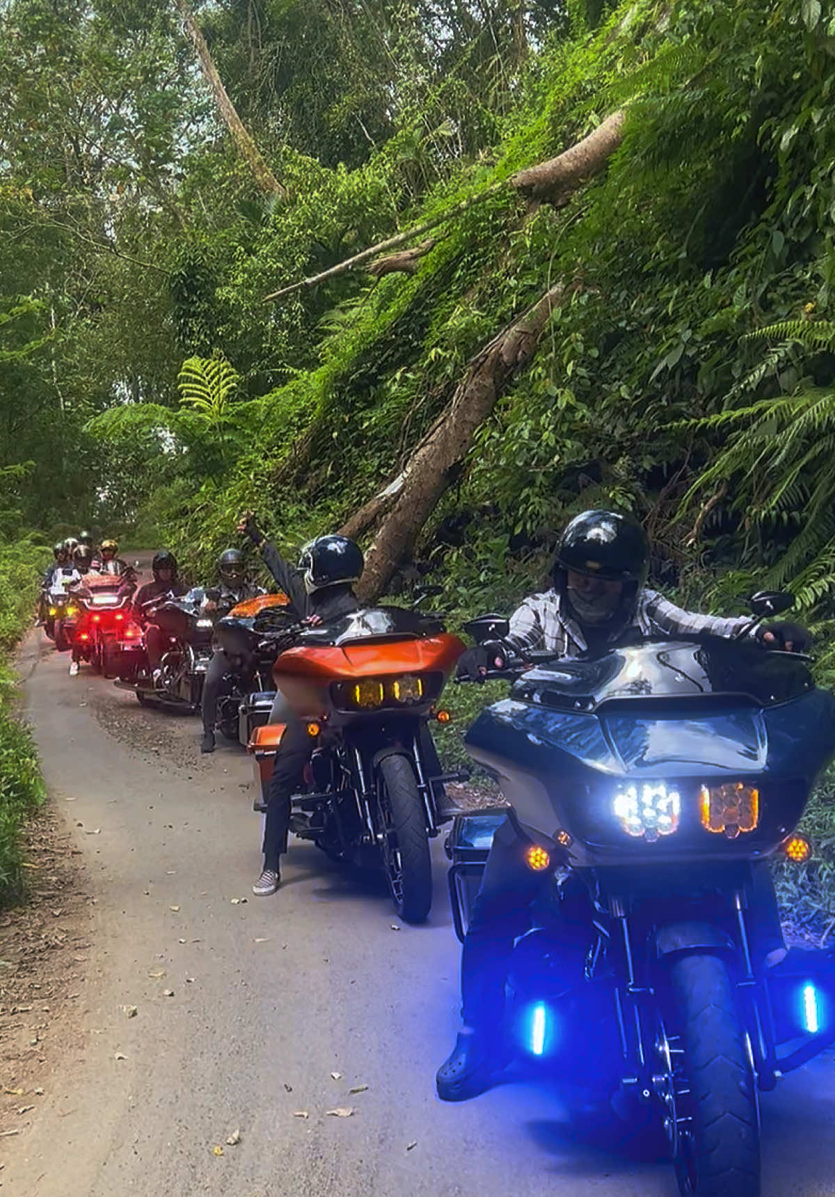 😍😍😍🫶🫶🫶 #motorbesarbrotherhoodindonesia #mbbibali @MBBI.OFFICIAL 