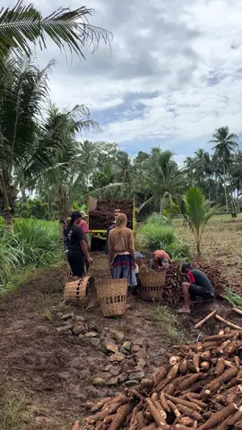 Kuli sesss#CapCut #petaniexpres #singkongbalap🤙 #fypage #masukberandafyp 