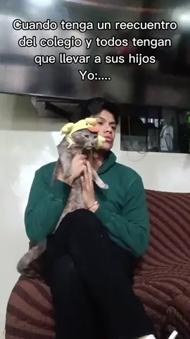 Así es señores 🤨 #mascota #mascotas2 #cats #mascotasfelices #pets 