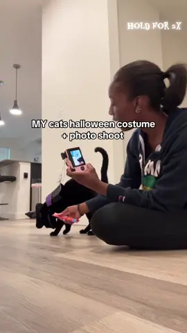 SKIP TO END FOR RESULTS LMAOOO #cathalloweencostume #catsoftiktok #cattok #halloweencostume #catlover 