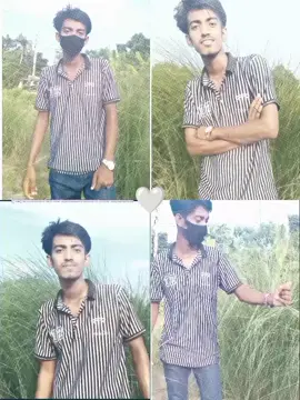 কাশফুলের বন  #foryou #CapCut @TiKToK 