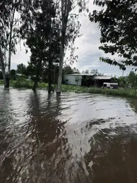 水晶很脆弱，夕阳很快就会褪色。人心难测，相聚又分崩离析 “ Pha lê dễ vỡ , hoàng hôn chóng tàn . Lòng người khó đoán hợp rồi lại tan”