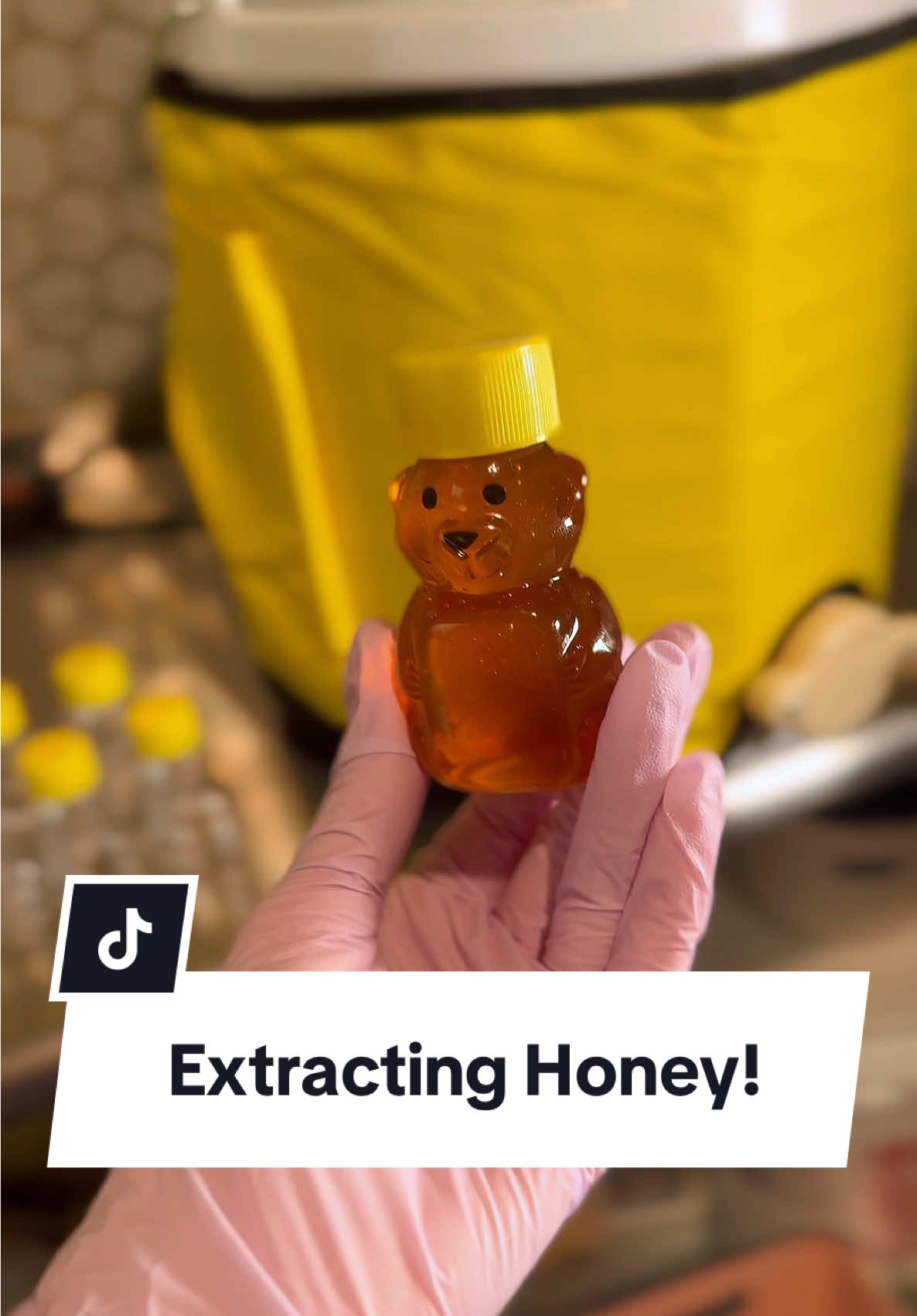 HONEY IM HOME ✨✨✨ (link in bio to shop) 😝 raw honey, shampoo bars, scrubs and more available tomorrow at 12pm! 🐝 #SmallBusiness #kacieshoneypot #beekeeper #honey 