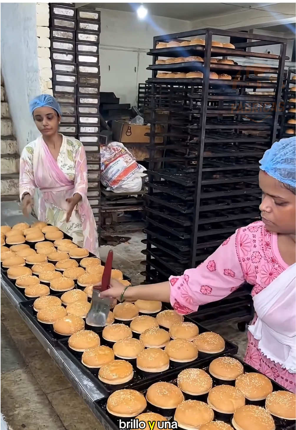 Visitamos la fábrica de pan de hamburguesa 🍔 más limpia de la India 🇮🇳 #viraltiktok #streetfood #india #indianfood #fyp 
