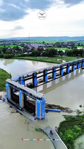 Kondisi Sungai Wulan Pagi ini (25.10.2025) 📍Bendung Wilalung  Kalirejo, Undaan Kudus  #banjir #waduk #bendungan #demak #kudus 