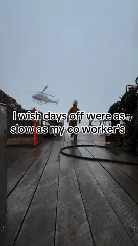 Jk my co workers are all pretty smart #bluecollar #fyp #money 