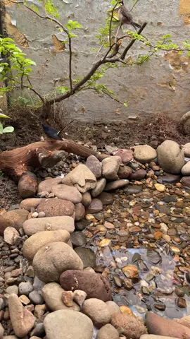 Vua chúa ngày xưa cũng chỉ đến thế thôi các bác nhỉ 🥰 