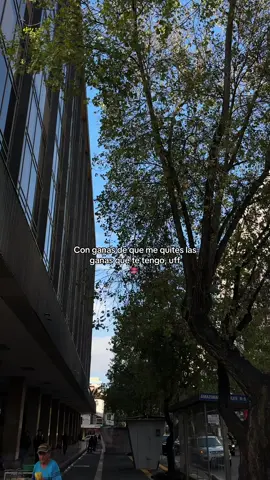 #videoviral 