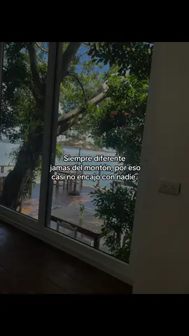 #ftypシ 