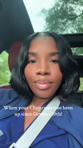 Sure has 😂 #fyp #christmasgiftideas #christmas 