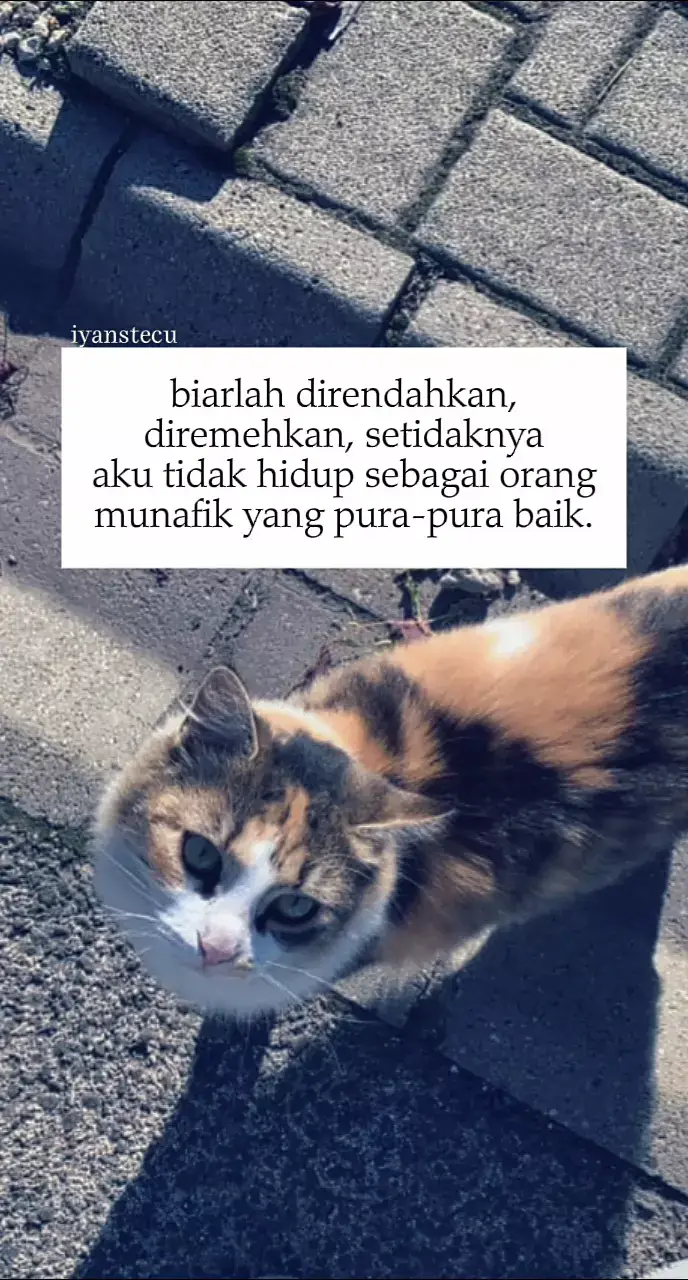 #fyp #iyanstecu #story 