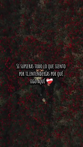 #angelesdelinfierno#situnoestasaqui#fyp 