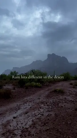 Miss that Arizona rain already. Some rare scenes in the superstitions while hiking in the rain. #hikingadventures #arizonahiking #waterfallhike #superstionmountains #rainhike 