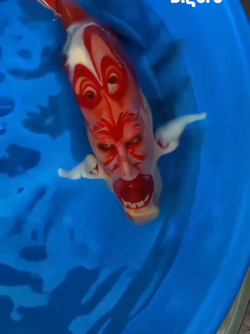 Hewan di Cikande Bermutasi Karena Radioaktif Cesium-137