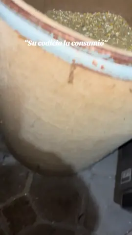 Todo sea por tener el buche bien lleno 👁️v👁️ #humor (IG:@es_albinita)