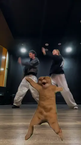 @Лёша Летучий 