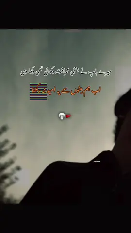 اب ہم بیٹوں سے یہ امید نہ رکھنا ۔💀🚩  #fyyyyyyyyyyyyyyyy #poetrylines #attitudestatus #viralvideotiktok #jwandparast_mr__umair__786 