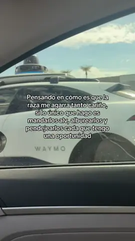 Pensando en cómo es que la raza me agarra tanto cariño, si lo único que hago es mandarlos alv, alburearlos y pendejearlos cada que tengo una oportunidad