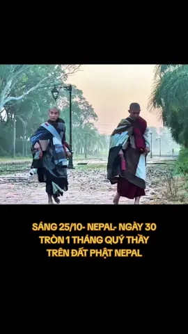 Sư phụ Giác Nhẫn, Minh Tịnh cùng huynh đệ sáng nay #xuhuong #thichminhtue #gaimienque ☘️🌸