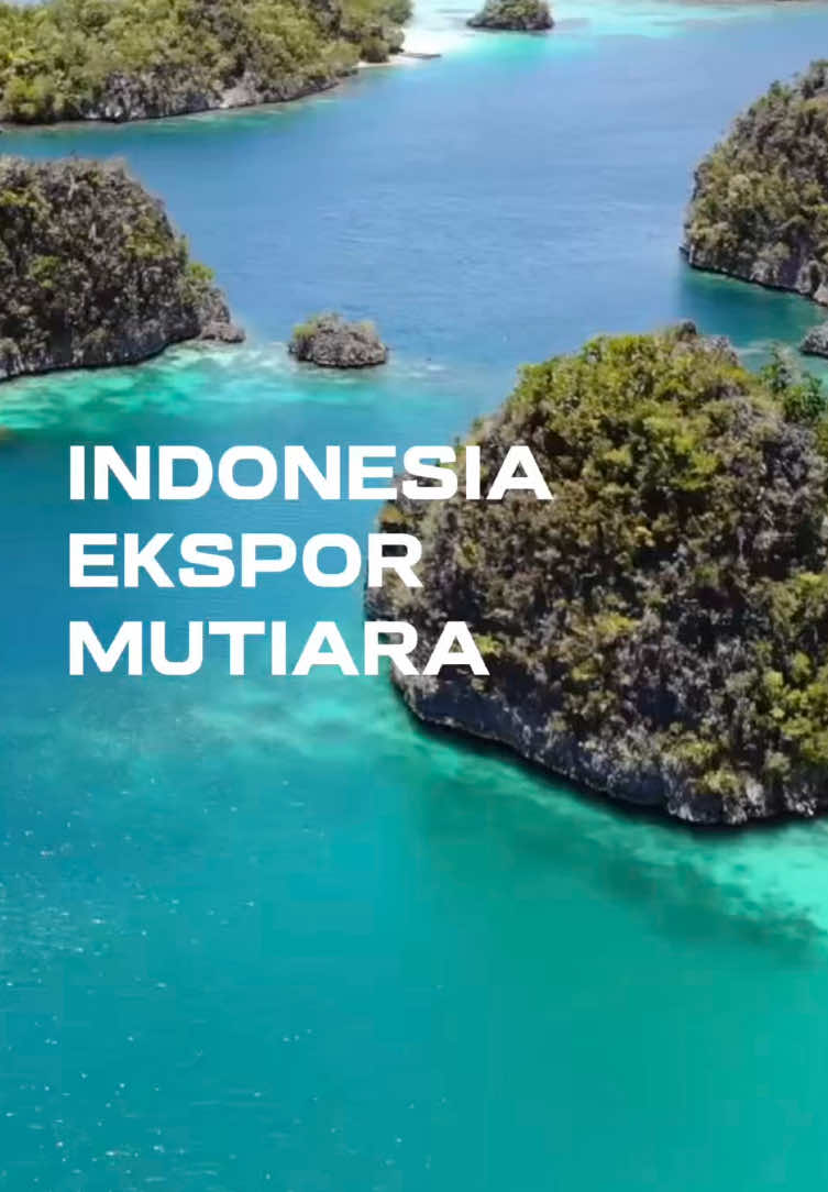 dari Kalimantan, sampai emas dari Papua. Indonesia punya potensi ekspor logam dan batu berharga yang luar biasa! Yuk belajar dunia ekspor impor barang Impex akademi #impor #ekspor #eksporindonesia 