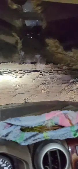 #متابعه_ولايك_واكسبلور_فضلا_ليس_امر #تصويري #محمد #ال #نشوان 