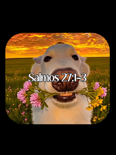 Espalhem o evangelho ✝️ . #versiculosbiblicos #evangelho #cristao #jesus #salmos #biblia