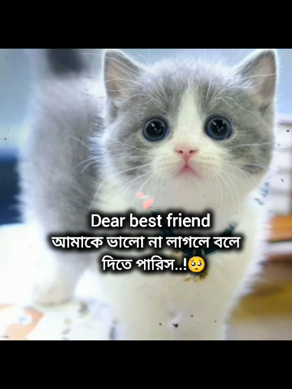 আমাকে ভালো না লাগলে বলে দিতে পারিস..!🥺🥲#foryoupage #foryoupage🌸 #foryoupage🌸💝 #its_me_durjoy07 @For You @TikTok @TikTok Bangladesh 