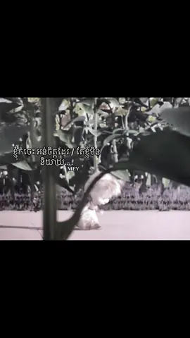 Kom sad pek dg ot ❤️‍🩹#foryoupage #sadvibes🥀 #masha #meyjellyna 