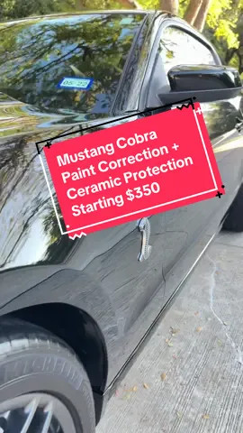 Ceramic coating sport package:  ( one stage correction + one year ceramic coating protection)  *  Super Hydrophobic Effect *  Self-cleaning Effect *  Chemical Resistance *  UV Resistance *  Prevents Water Spotting *  High Gloss Finish Our Ceramic Sport package is an excellent value for those interested in Ceramic coating protection! It comes till 12 months ceramic protection and is a huge upgrade from waxing at a similar price point.  #mustang #detailing #paintcorrection #ceramiccoating #systemxceramics   We are running a limited time Special starting at $350 !! ( priced based on a regular sedan size vehicle )  DM for a Free quote !!