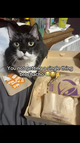 He think he getting sum 😭😭😭😭 son 😭😭😭😭😭😭😭😭😭😭😭😭😭😭😭😭😭im crine 😭😭😭😭 @Marce 🦇 🌊 @rileyy˙⋆✮ @☆Kathleen⁷☆ #tacobell #food #real #relatable #fyp 