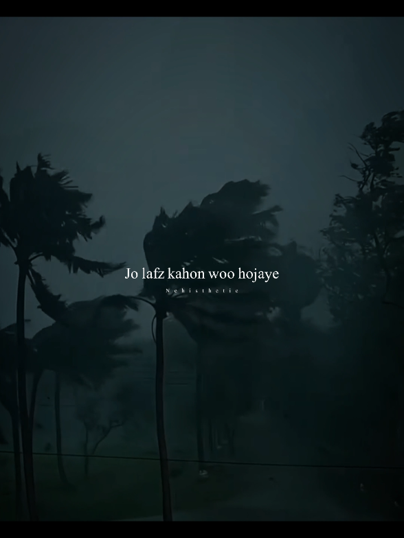 saiyyara ♥️🪽 jo lafz kaho wo hojaye ✨ #capcut #viral #foryou #nehisthethic #lyrics_songs 