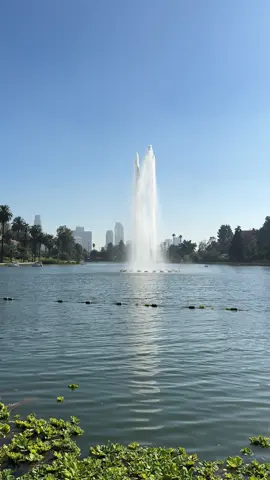 Echo Park vibes #EchoPark #LosAngeles #LAvibes #CaliforniaDreaming #ExploreLA #LAlife #HiddenGemsLA #TravelVibes #CityViews