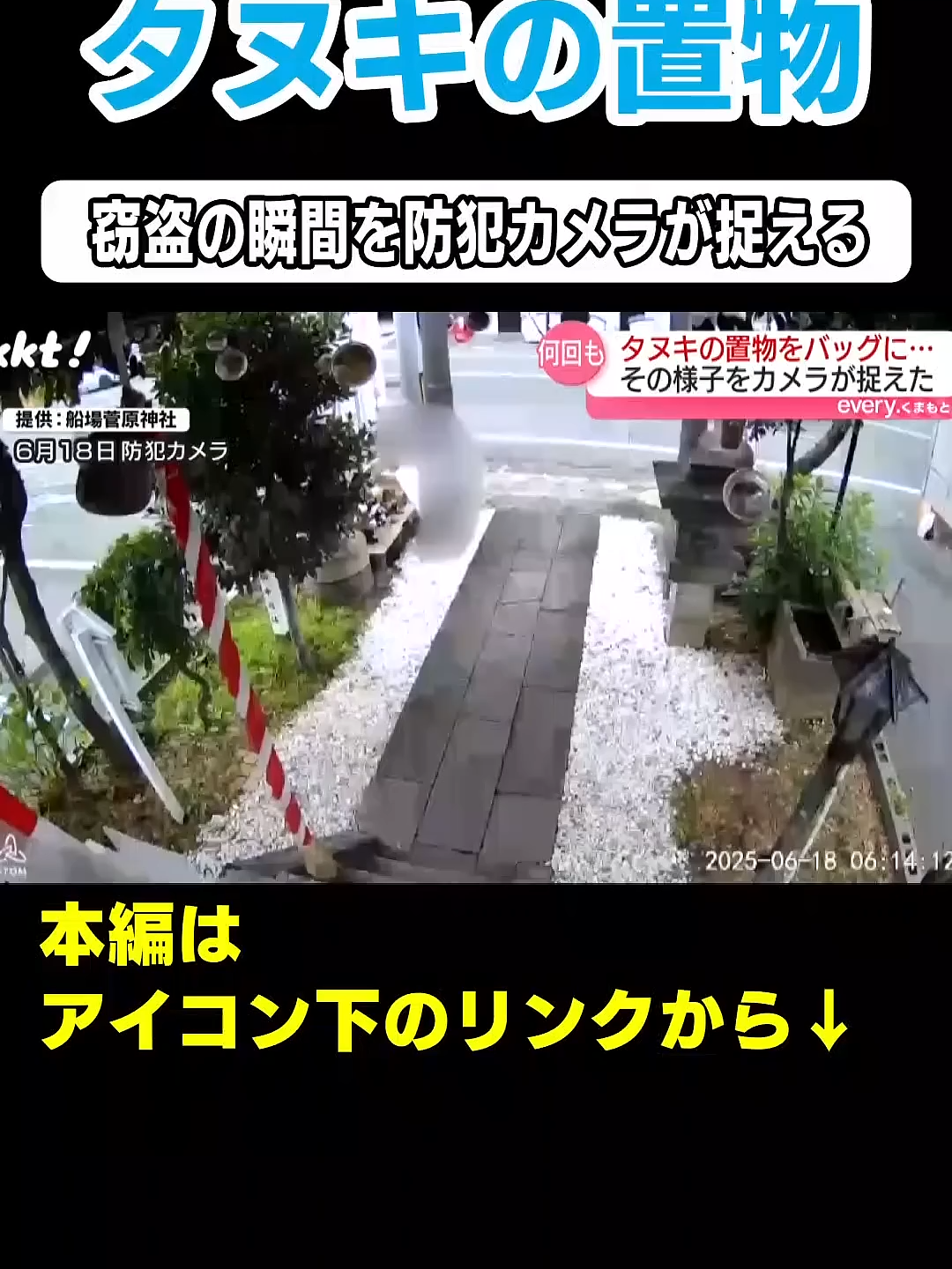 #ヌキの置物盗まれる瞬間#shorts