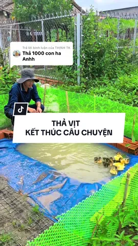 Trả lời @THỊNH TK hoàn thành thả vịt nuôi tại nhà #huongdientravinh #nuoivit #kitawa #dennangluongmattroikitawa 