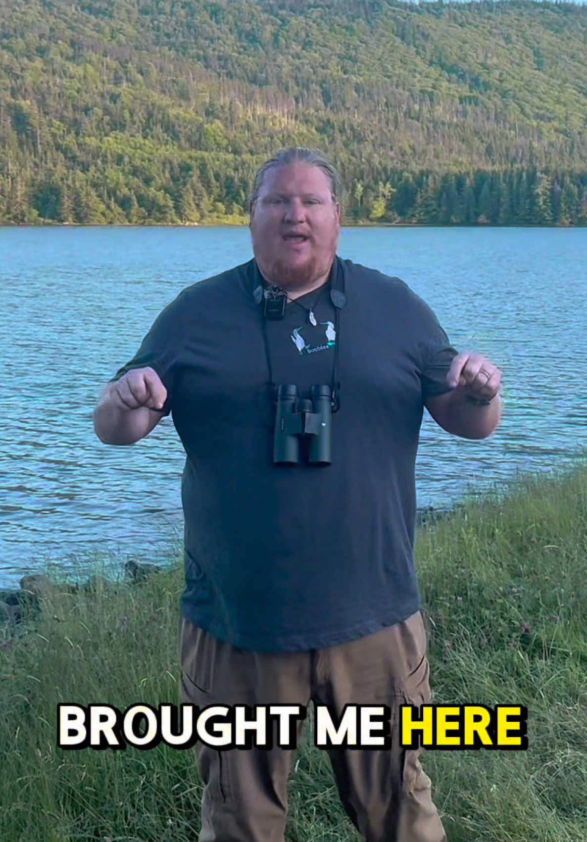 My quest to see every bird on Earth brought me to Newfoundland, Canada. There is only one Steller’s Sea Eagle in all of North America, and I saw it. #newfoundland #birding #birdtok 