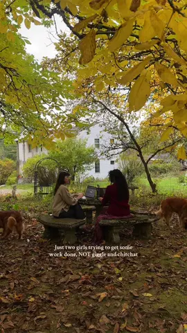 On the most beautiful October afternoon mind you! 🍂 