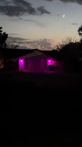 The house is staring at us 