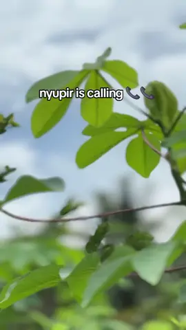 #fyppppppppppppppppppppppp #r99 