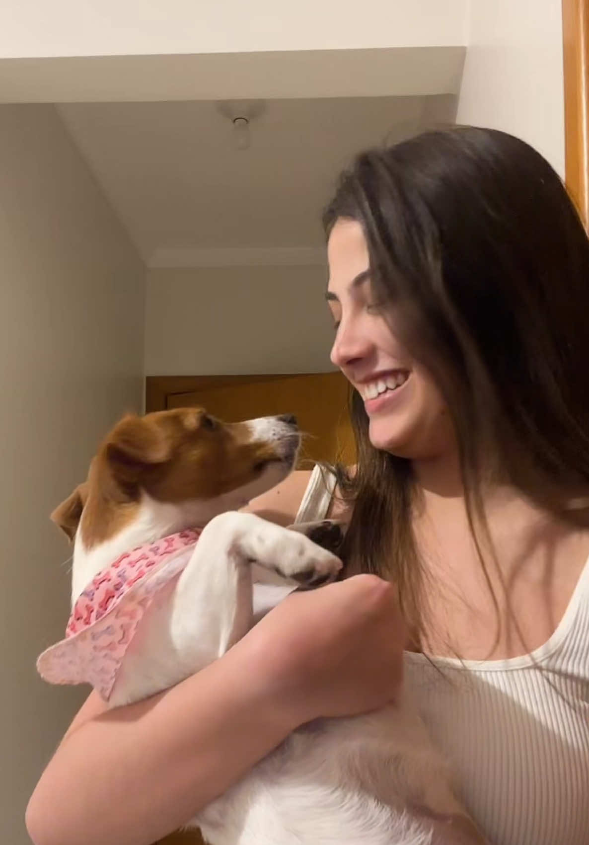 minha Dora Maria🤍🤎 #pet #jackrussell #fyp 