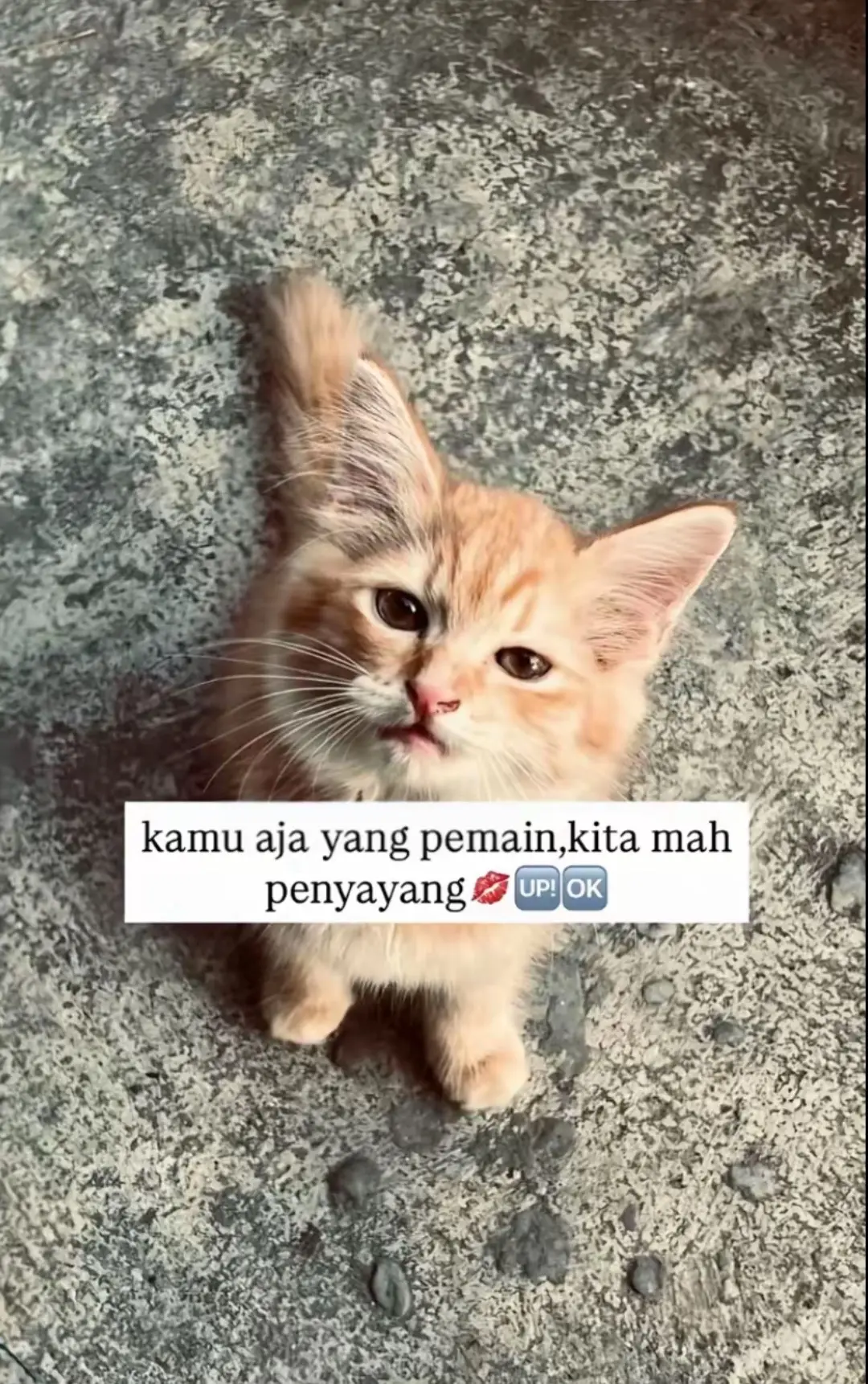 @👣 😋#fypシ゚viralシ #fotogesertrendtiktok 