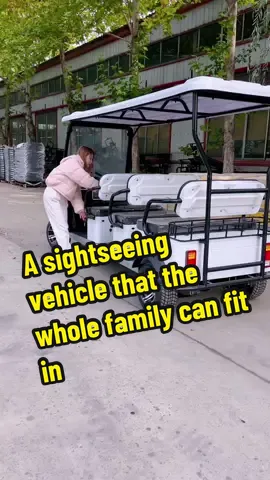 A sightseeing vehicle that the whole family can fit in