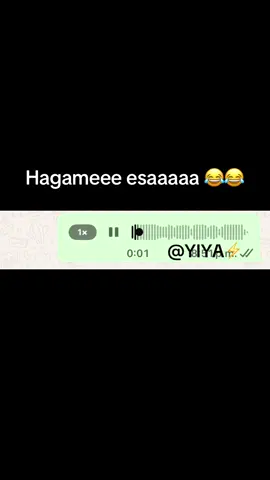 Primero sin agua y ya sin metro 🤣😂#gildardomontoya #fyp #audios 