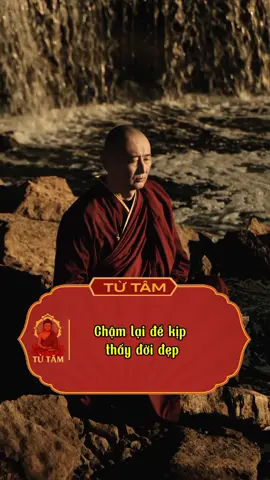 Chậm lại để thấy đời đẹp. #tutam #phatphap #lienhoavietnam #phatphapnhiemmau #xuhuong 
